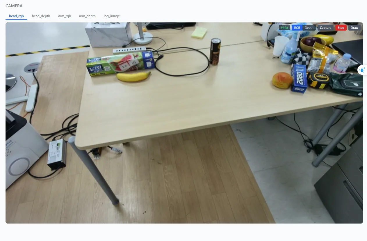 Live RGB / depth camera tabs with FPS counter and capture controls